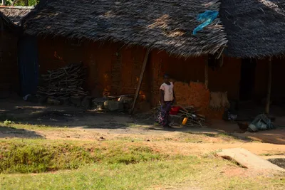 DSC_8312 (Large).JPG